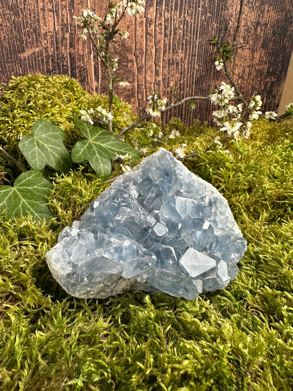 Géode de Célestine - 750G