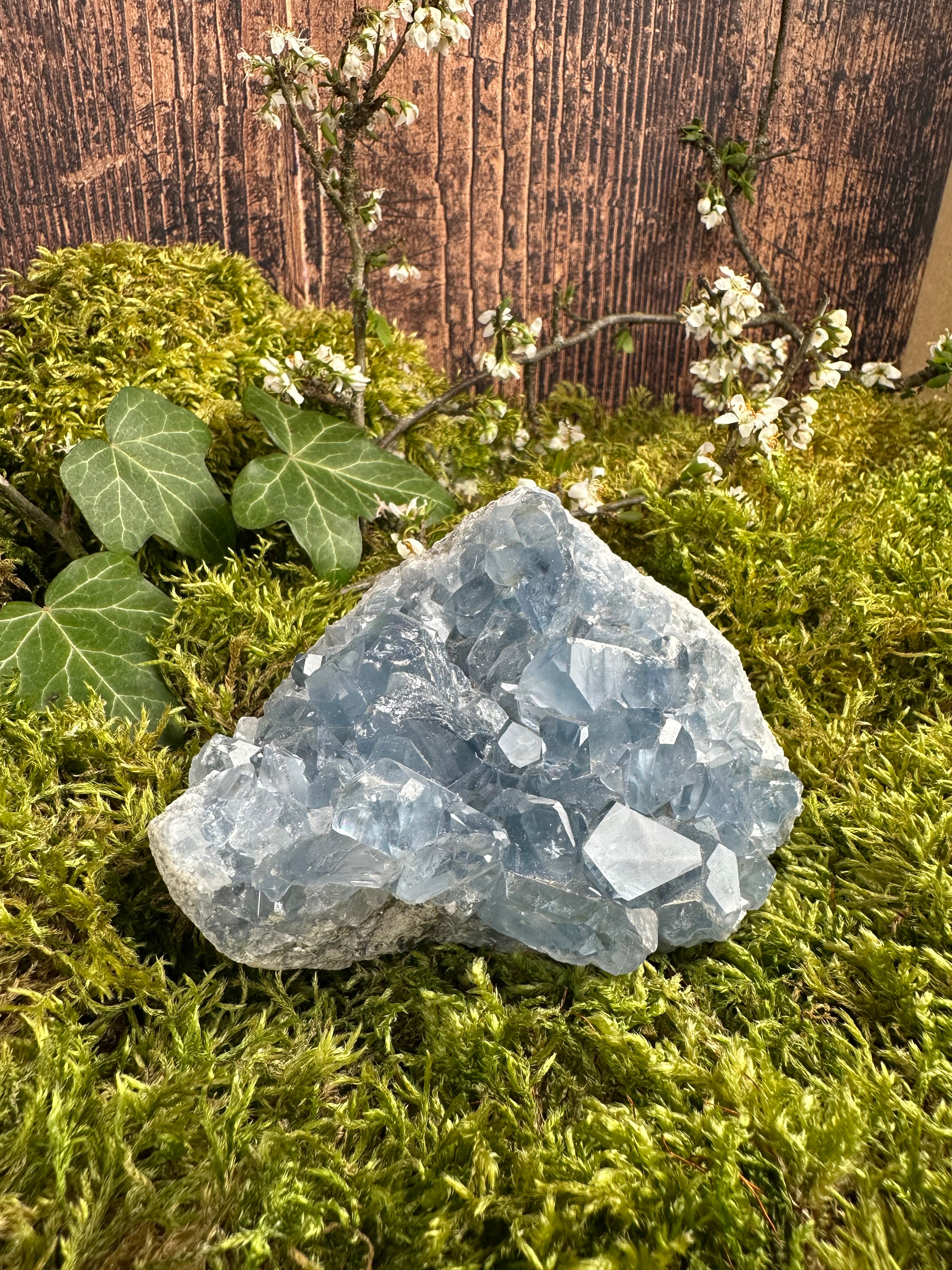 Géode de Célestine - 750G