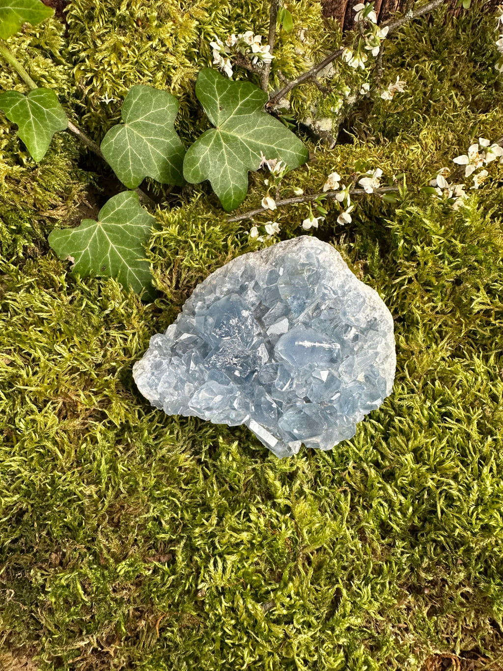 Géode de Célestine - 750G
