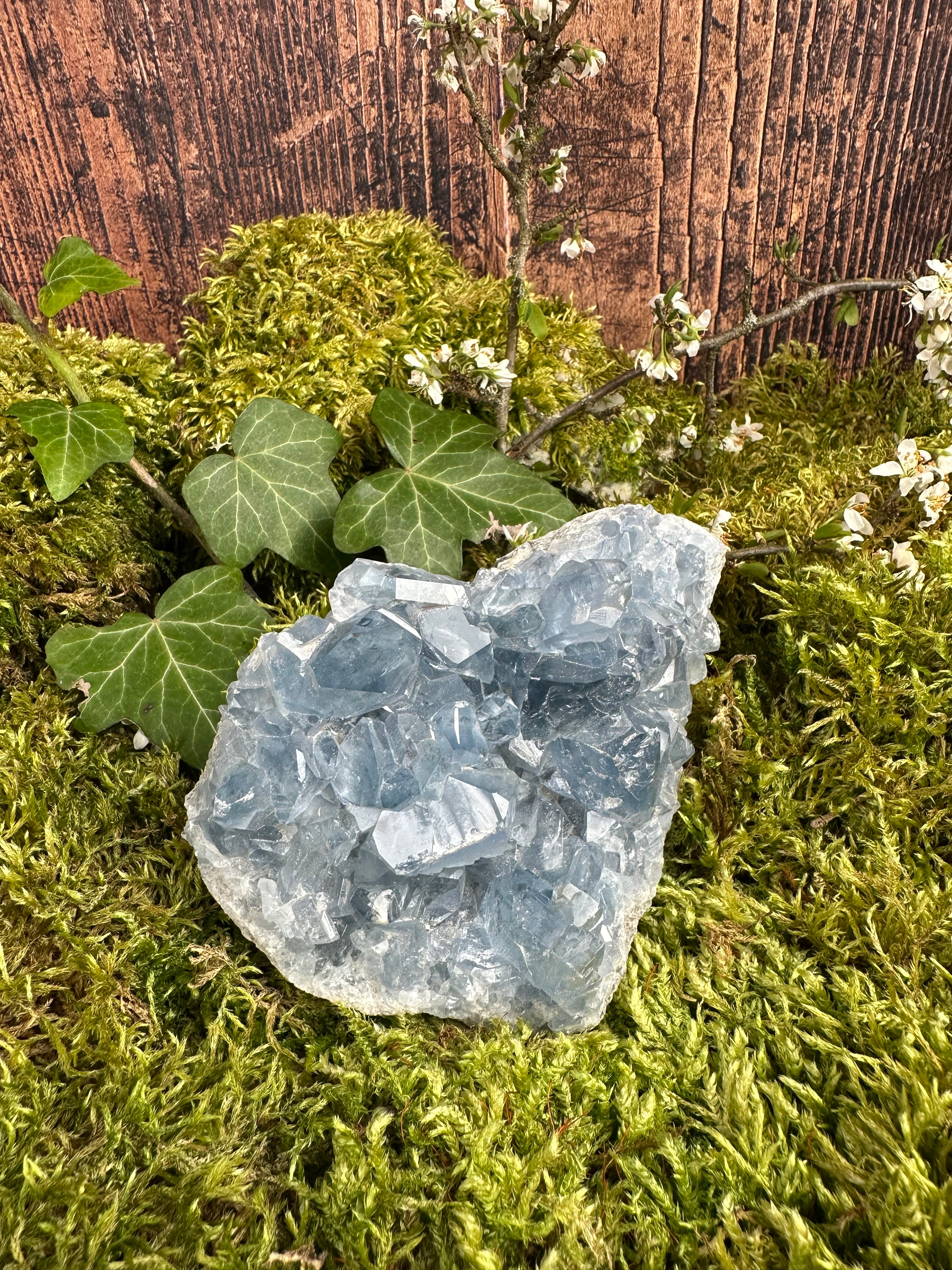 Géode de Célestine - 750G