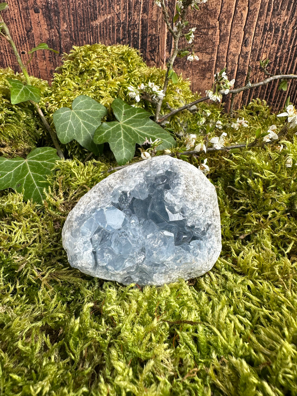 Géode de Célestine - 410G