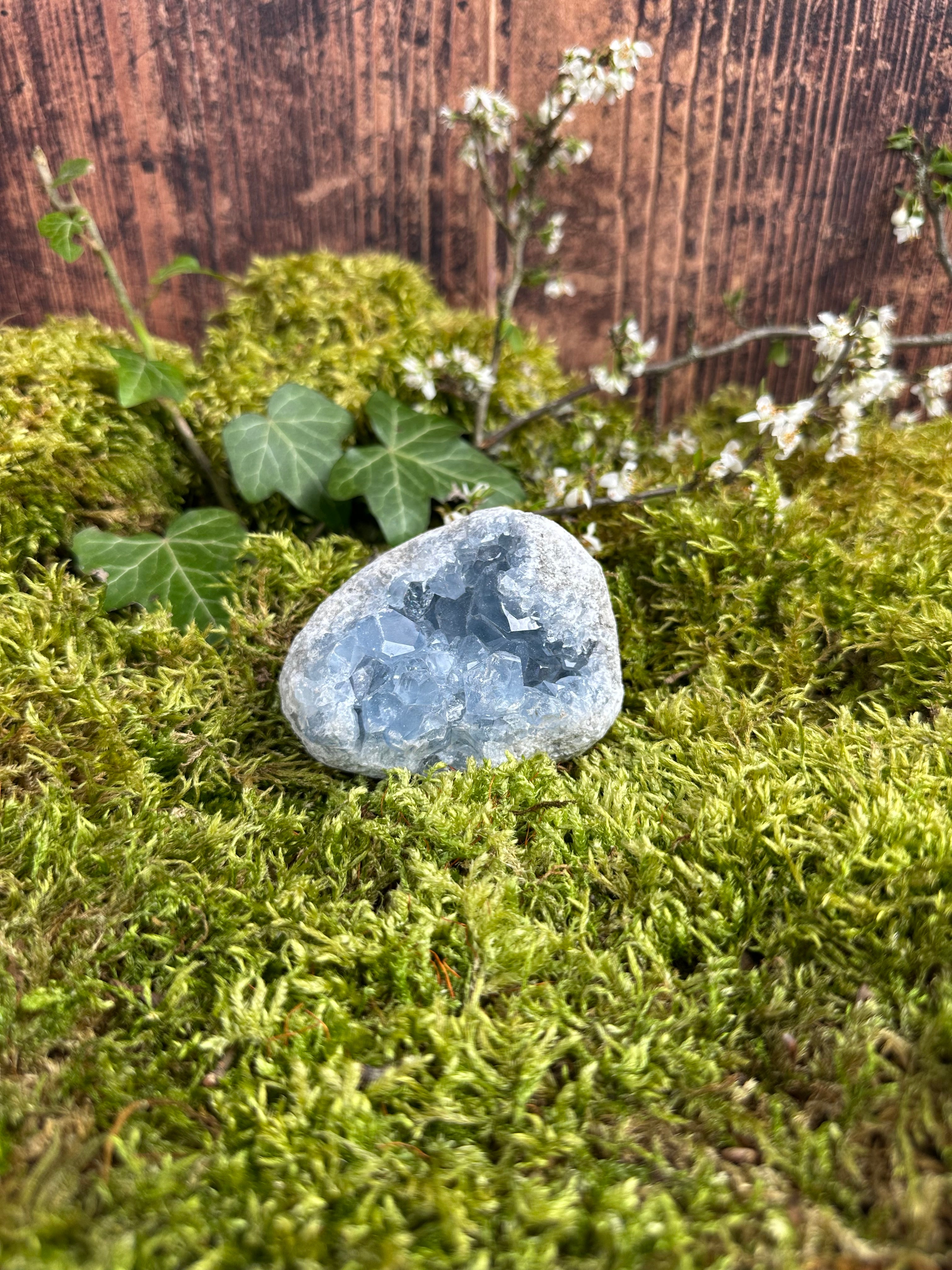 Géode de Célestine - 410G