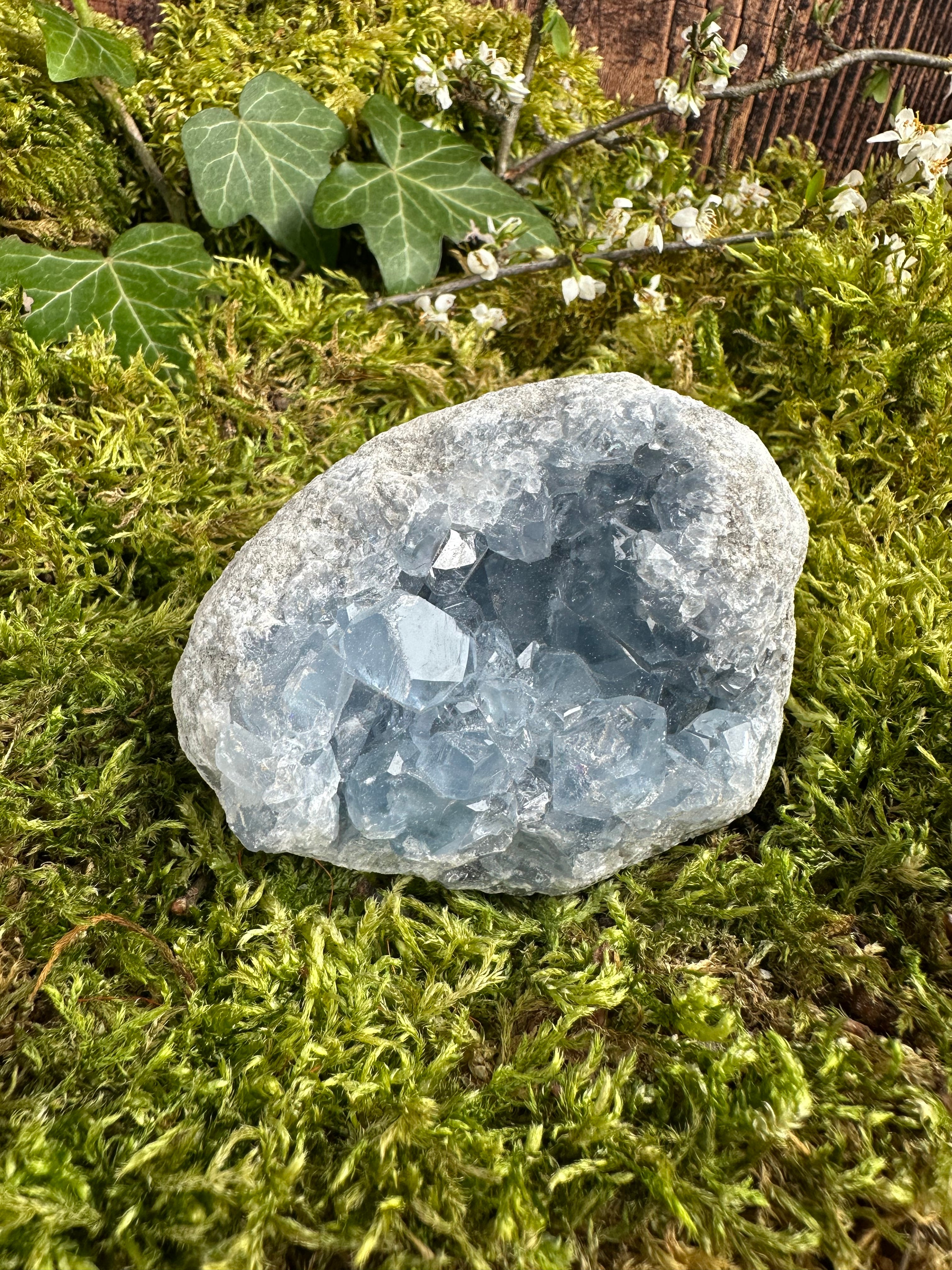 Géode de Célestine - 410G