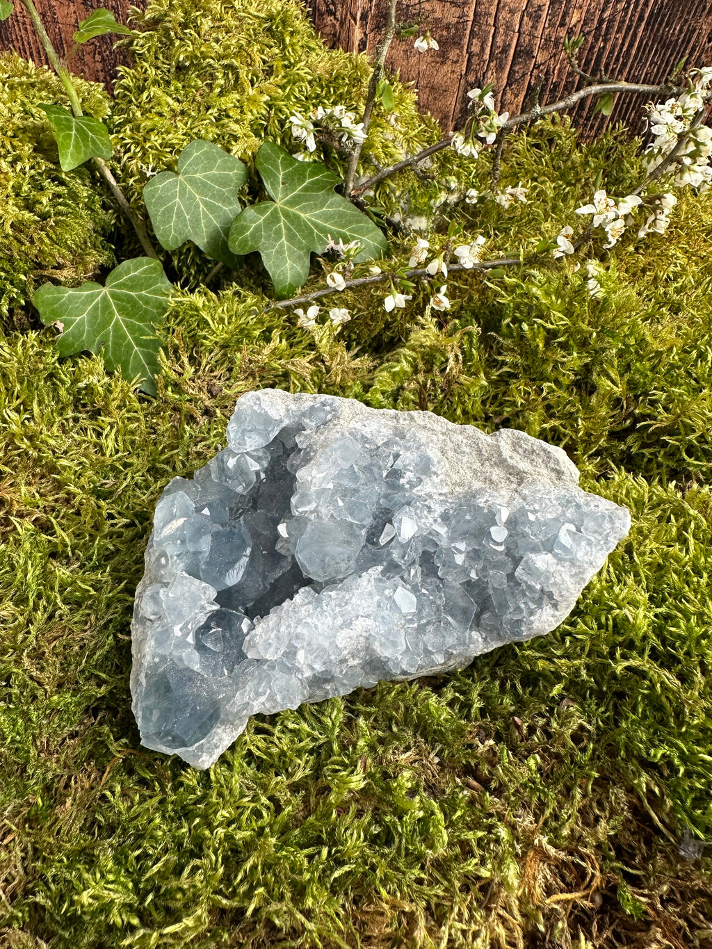 Géode de Célestine - 925G