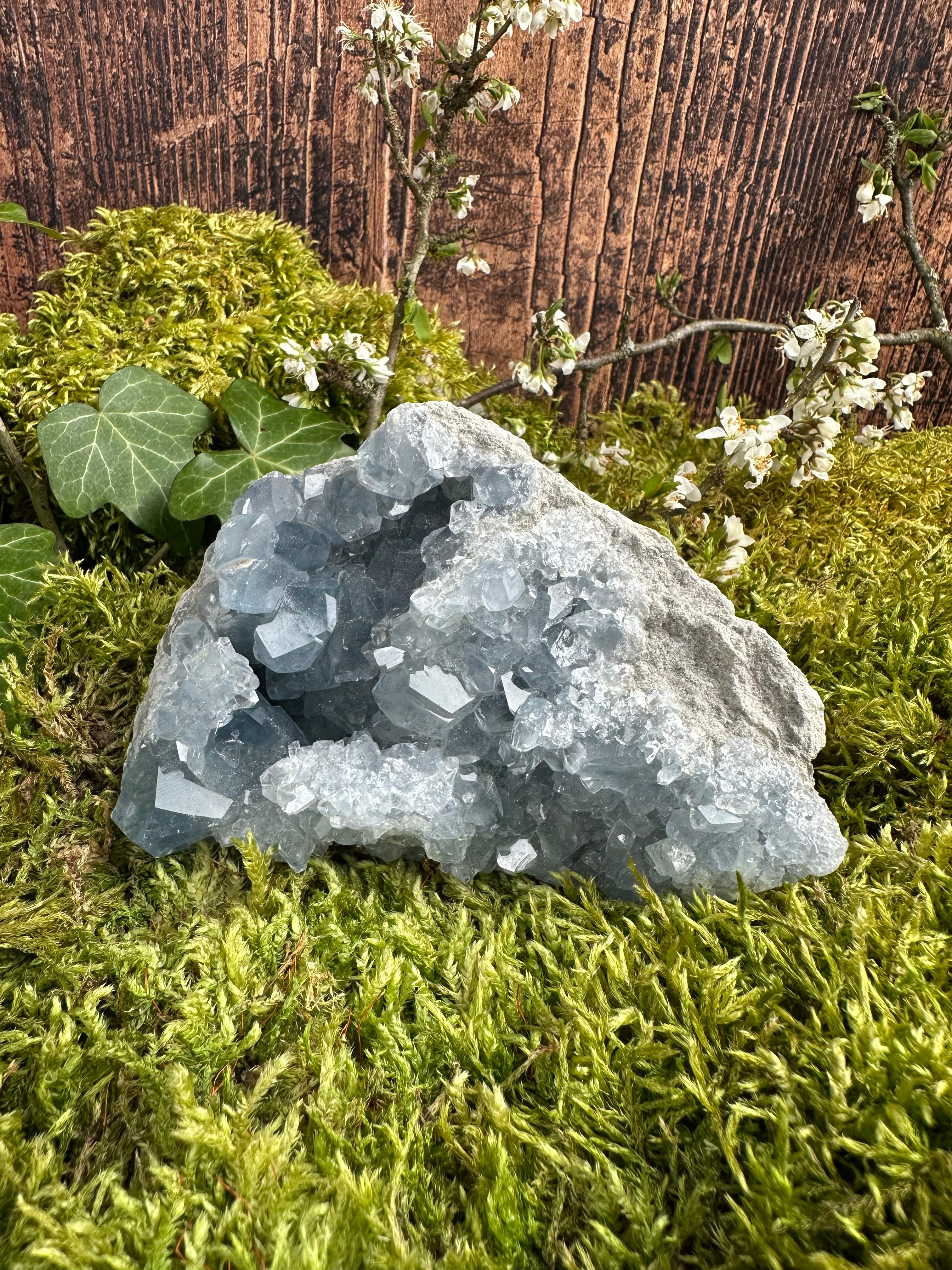 Géode de Célestine - 925G