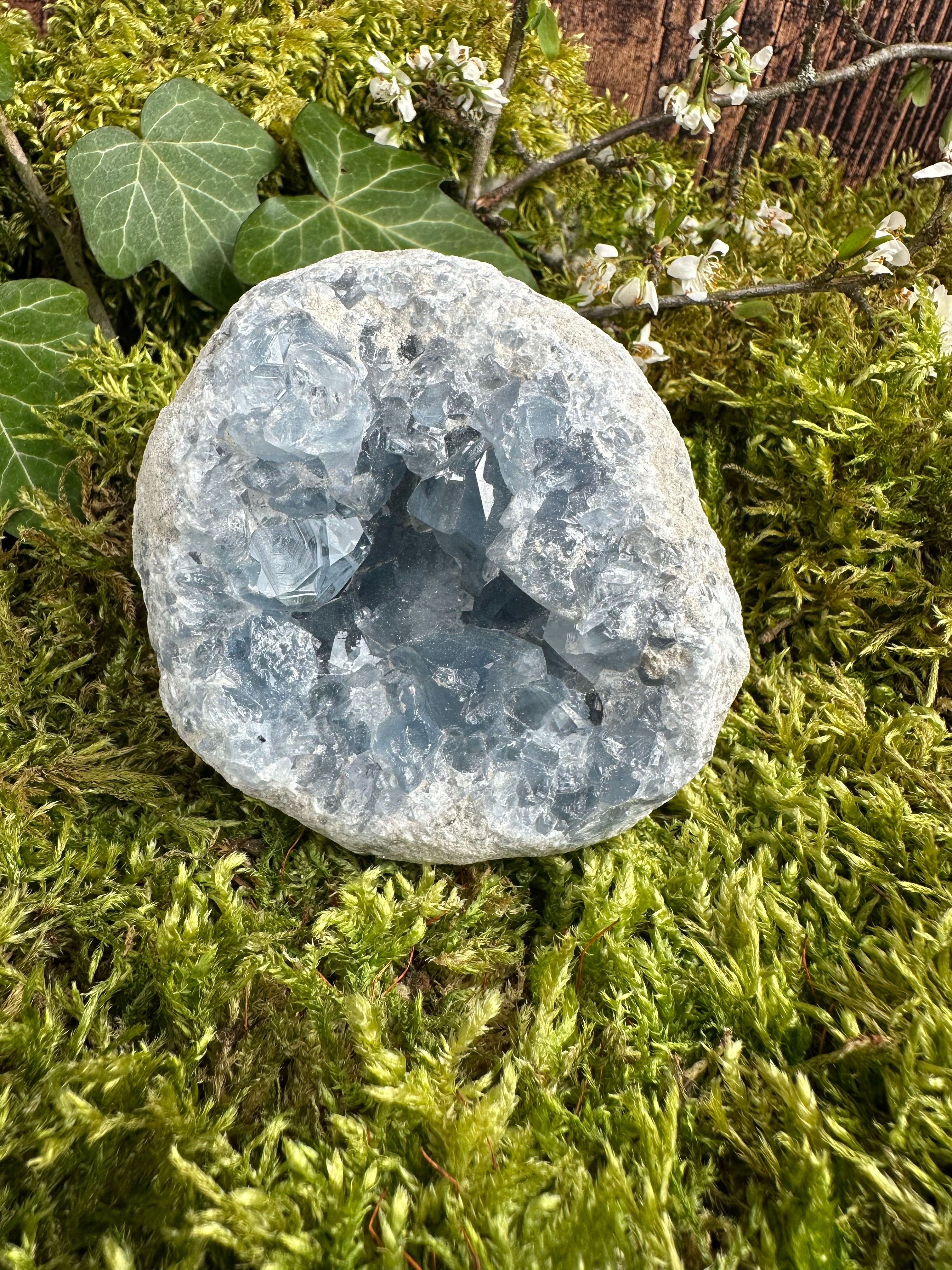 Géode de Célestine - 600G