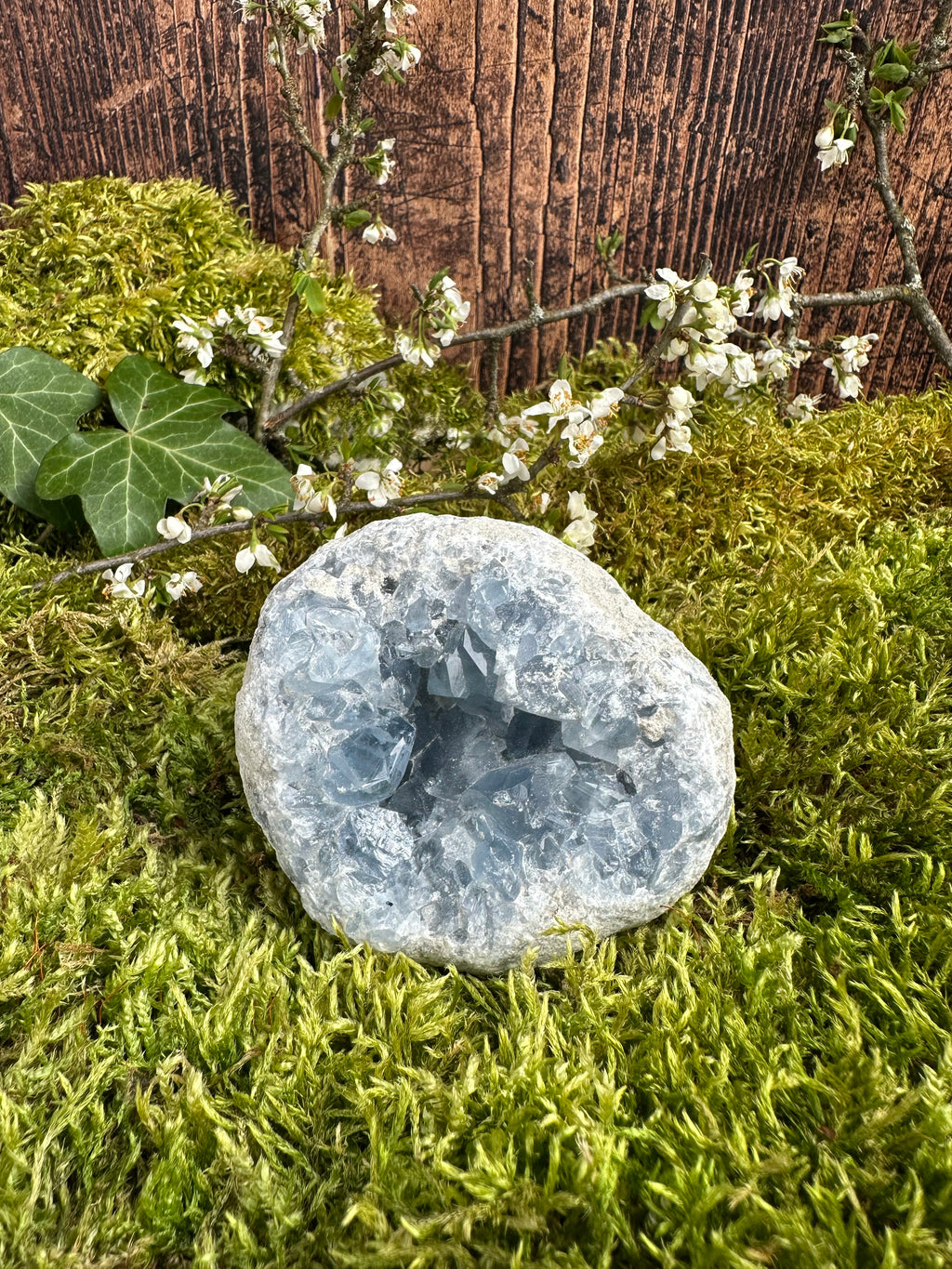 Géode de Célestine - 600G